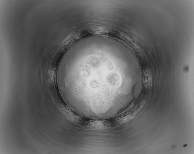 X0000101230523200806271514