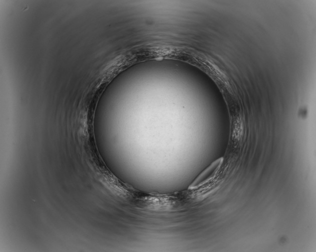 X0000101230524200806271514