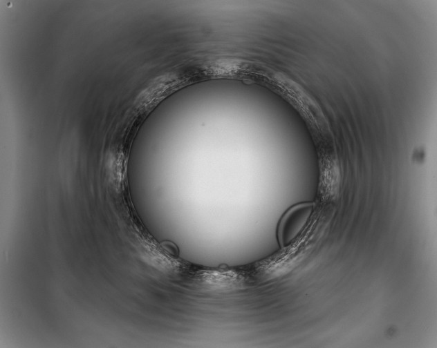 X0000101230525200806271514