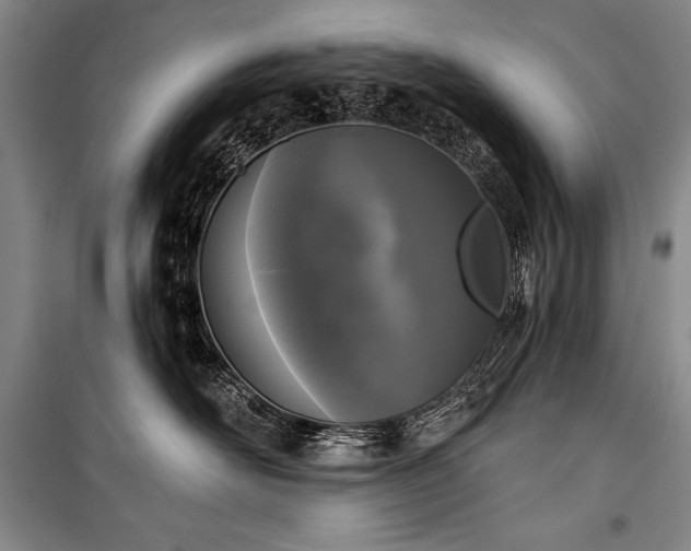 X0000101230526200806271514