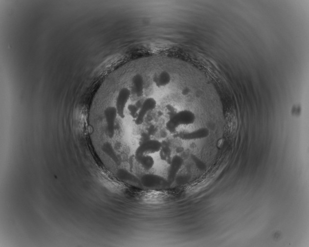 X0000101230527200806271514