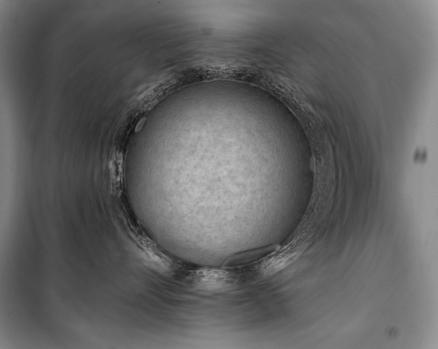 X0000101230528200806271514