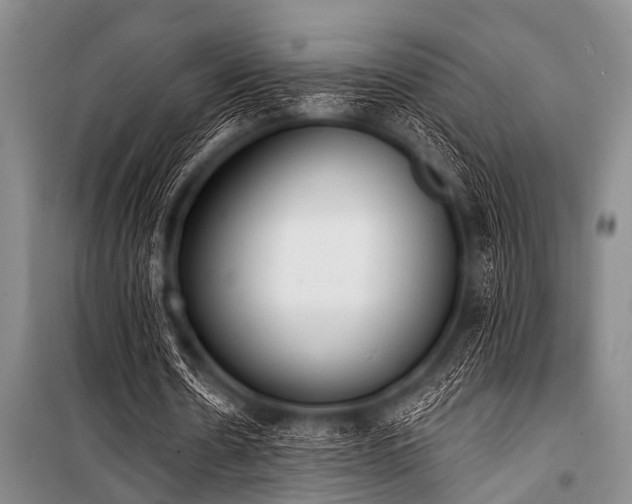 X0000101230530200806271513