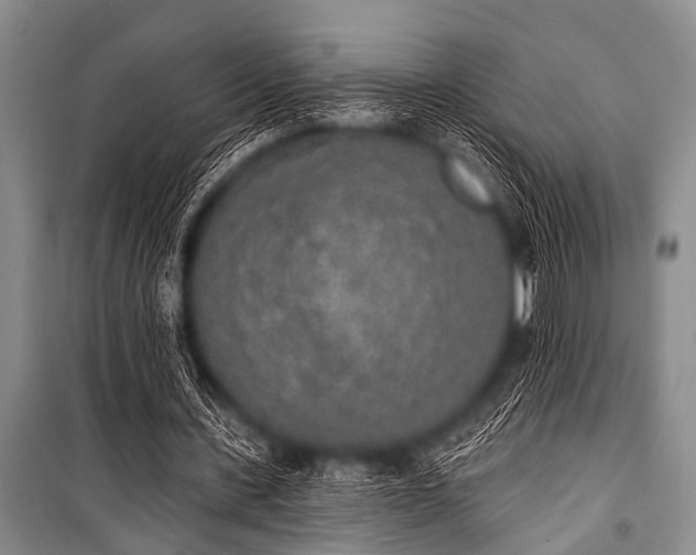 X0000101230531200806271513
