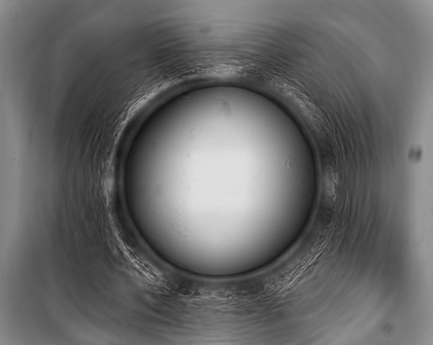 X0000101230532200806271513