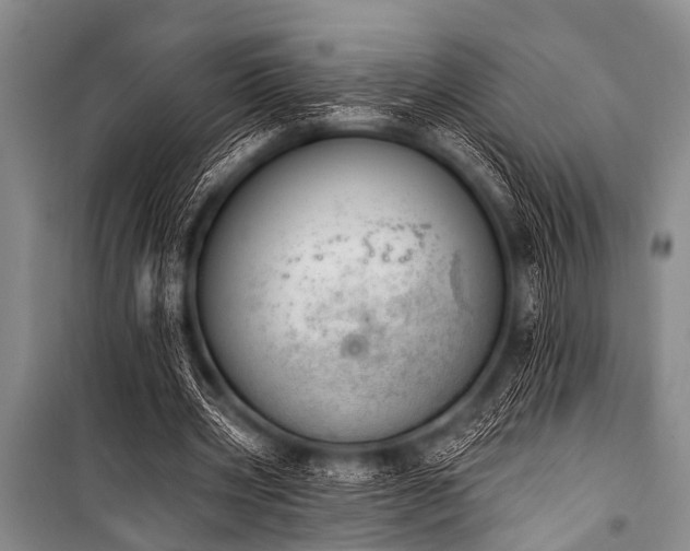 X0000101230533200806271513
