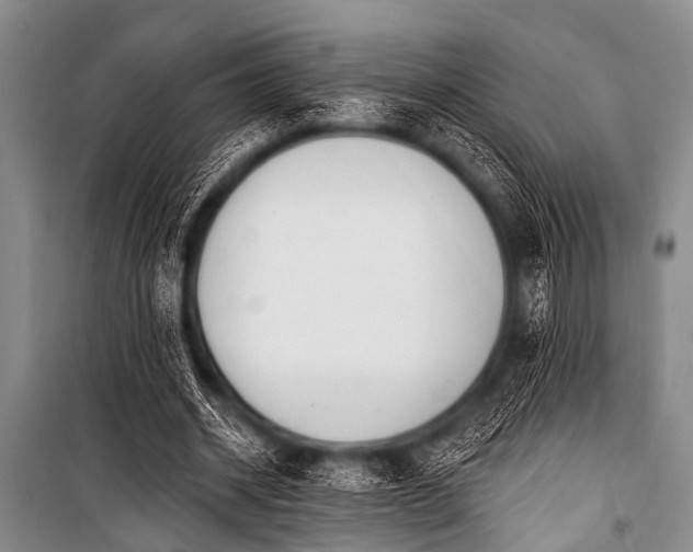 X0000101230534200806271513