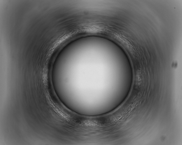 X0000101230535200806271513