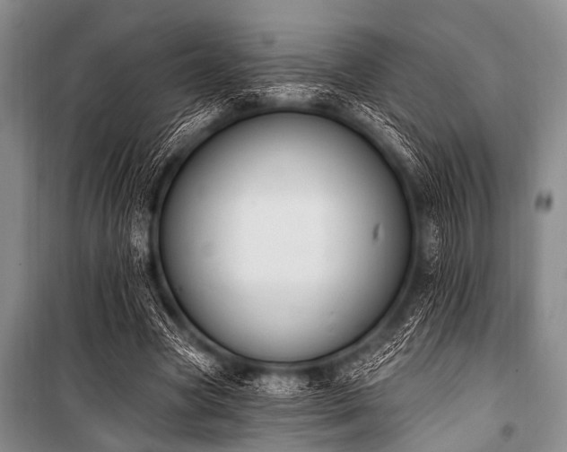 X0000101230537200806271513