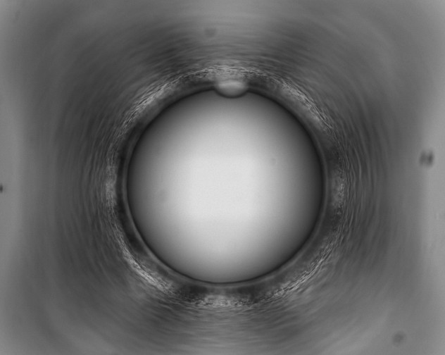 X0000101230538200806271513