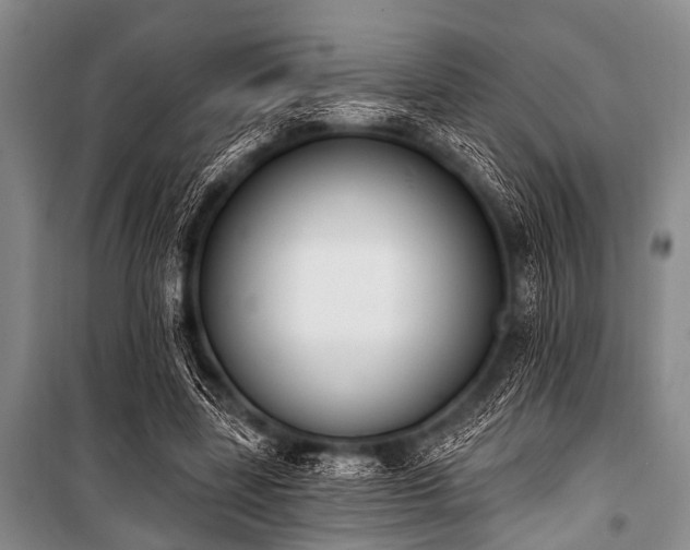X0000101230539200806271513