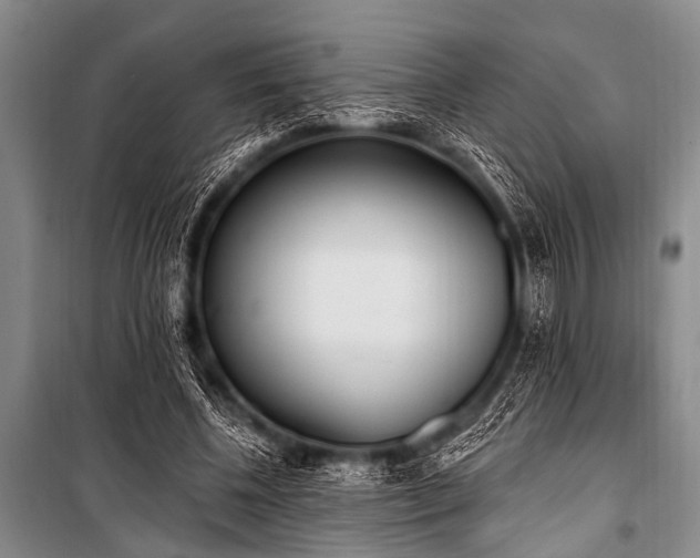 X0000101230540200806271513