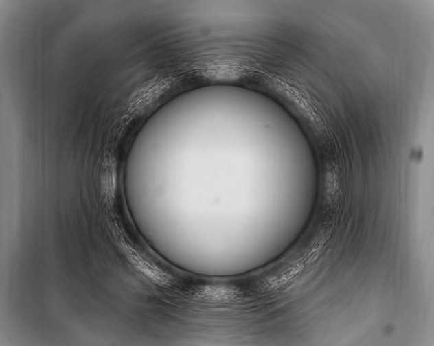 X0000101230541200806271513