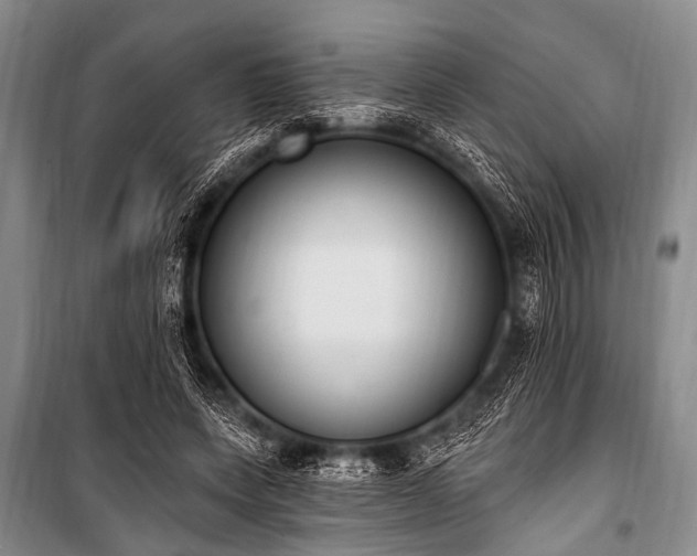 X0000101230543200806271513