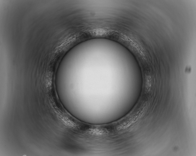 X0000101230545200806271513