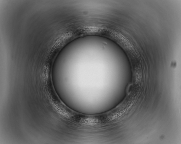 X0000101230546200806271513