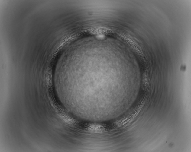 X0000101230547200806271513