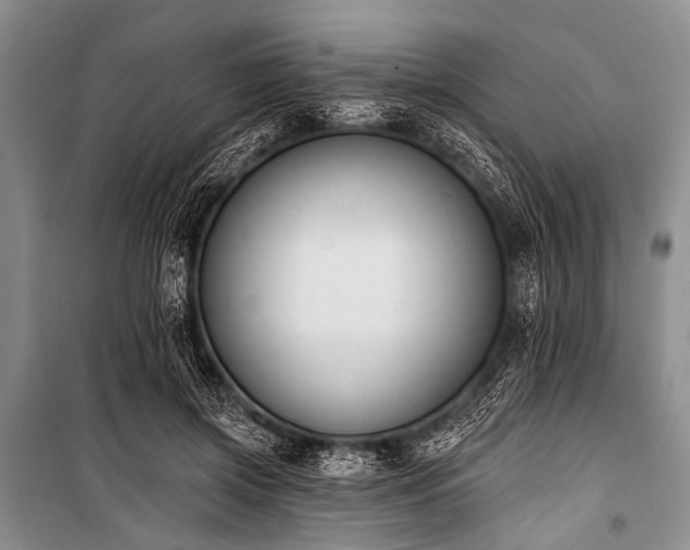 X0000101230549200806271513