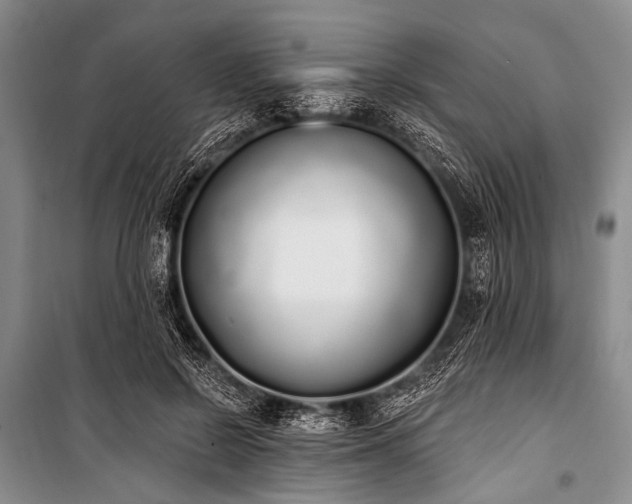 X0000101230550200806271513