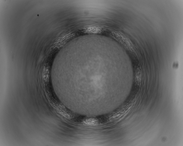 X0000101230551200806271514