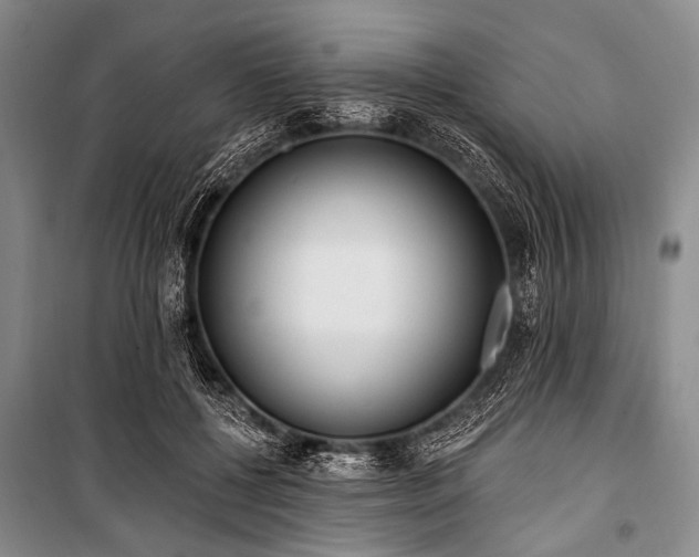 X0000101230552200806271514