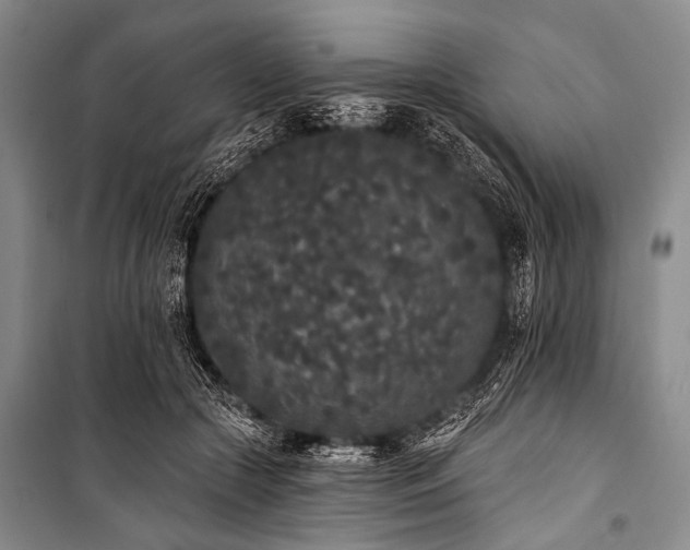 X0000101230553200806271514