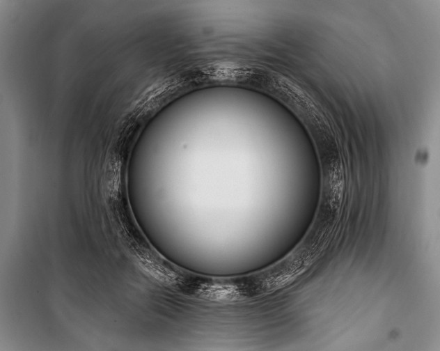 X0000101230554200806271514