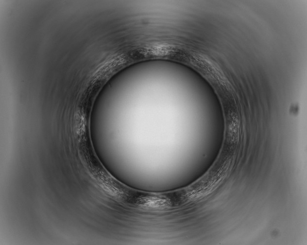X0000101230555200806271514