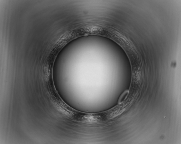 X0000101230558200806271514