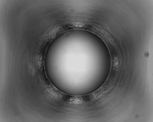 X0000101230559200806271514