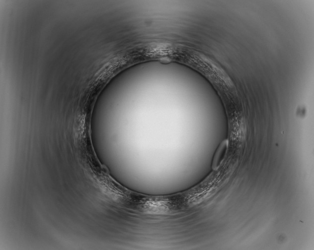 X0000101230560200806271514