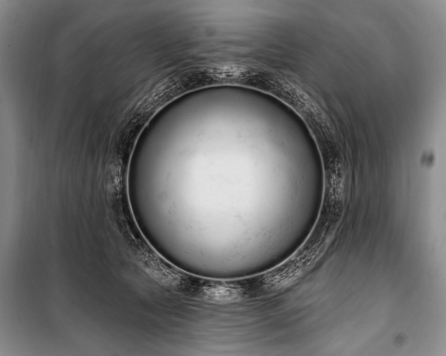 X0000101230561200806271514