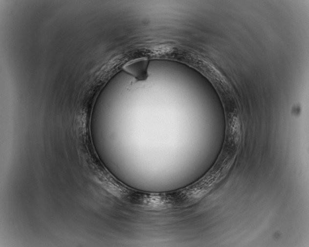 X0000101230565200806271514