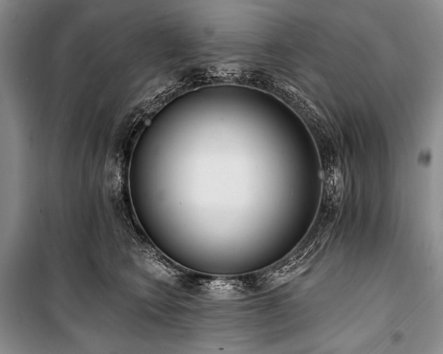 X0000101230566200806271514