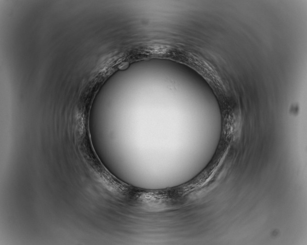 X0000101230568200806271514