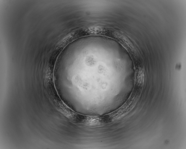 X0000101230569200806271514