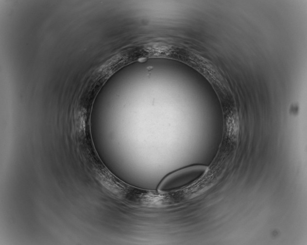 X0000101230570200806271514