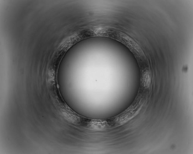 X0000101230571200806271514