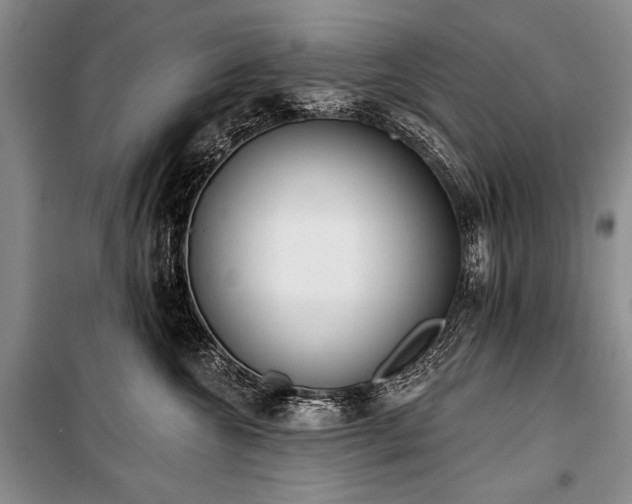X0000101230572200806271514