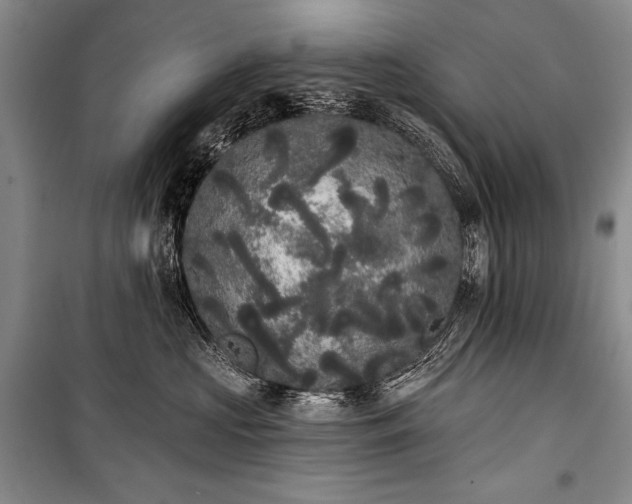 X0000101230573200806271514
