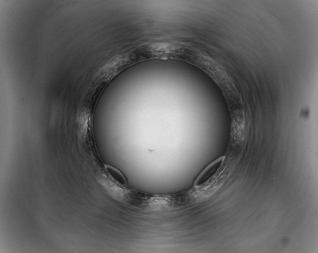 X0000101230574200806271514