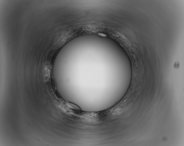 X0000101230576200806271514