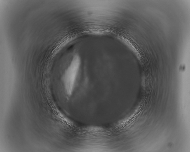 X0000101230577200806271513