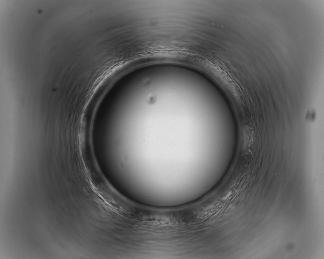 X0000101230580200806271513