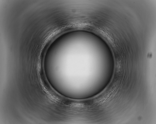 X0000101230582200806271513