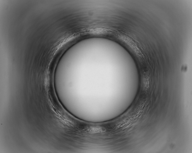 X0000101230583200806271513