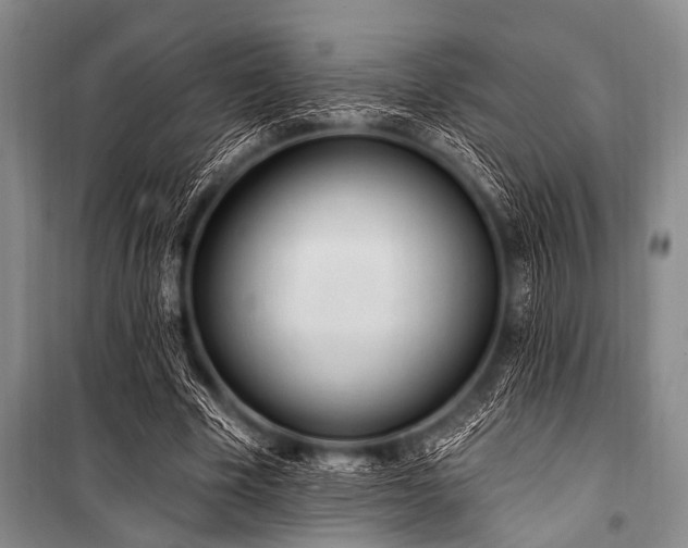 X0000101230585200806271513