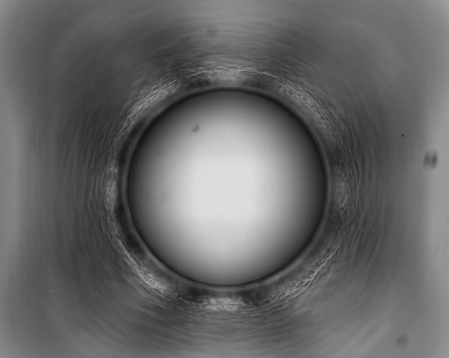 X0000101230586200806271513