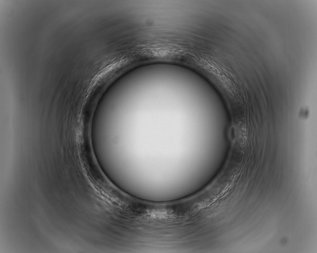 X0000101230587200806271513