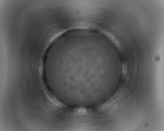 X0000101230588200806271513